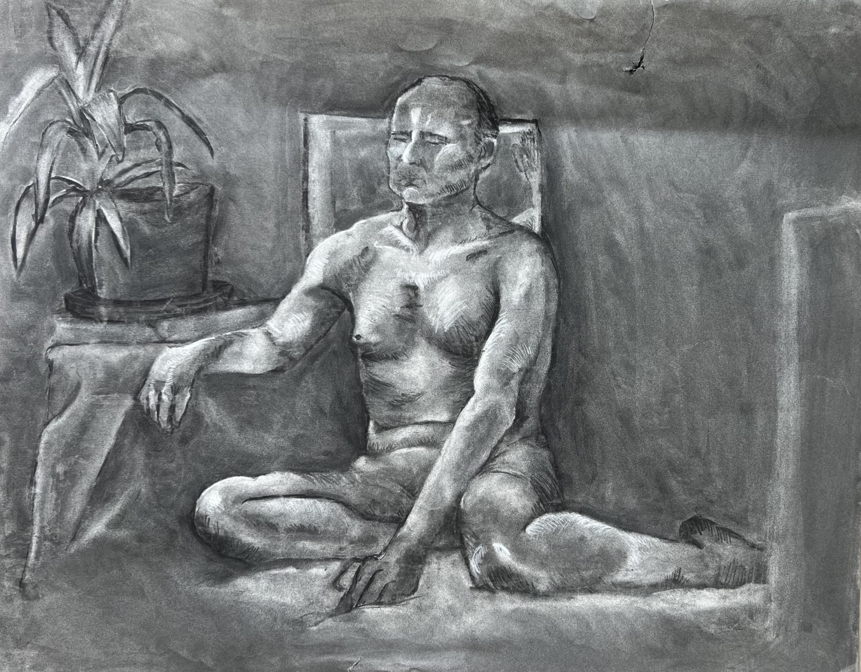 charcoal model study